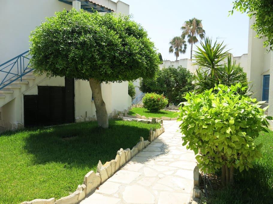 Dhekelia Diamond Apartment Larnaca Exterior photo